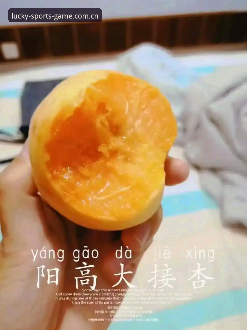 资深用户分享杏运体育平台官网使用心得：从注册到数据追踪的完整实战经验